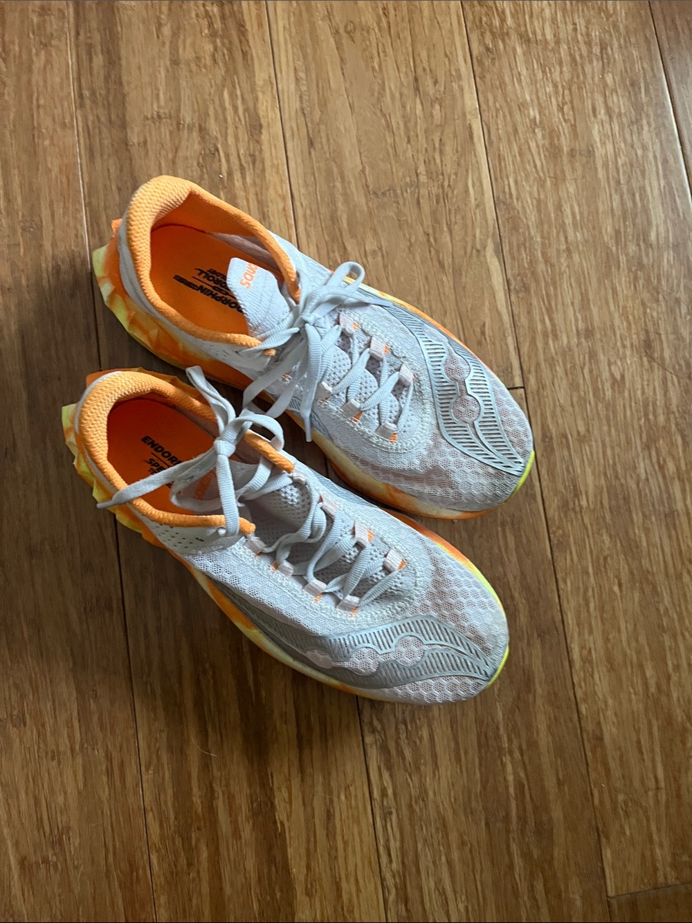 Saucony endorphin pro